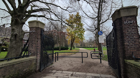 Park Merwestein, Dordrecht (Park Merwestein), 