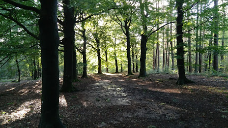 Goois Natuurreservaat Spanderswoud, Hilversum