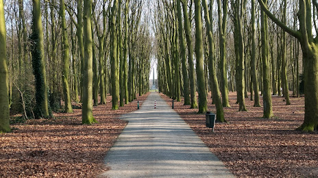 Rijswijk Forest (Rijswijkse Bos), 