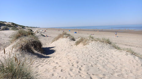 Beach / Sand dunes at Bloemendaal aan Zee (Strand / Duinen bij Bloemendaal aan Zee), 