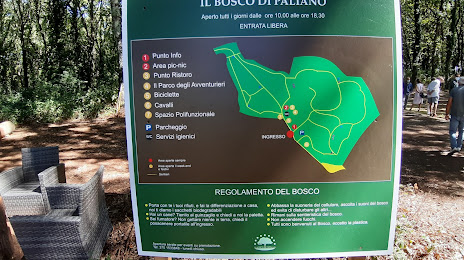 Il Bosco di Paliano, Colleferro