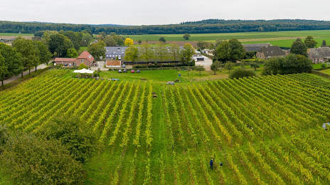 Wijngaard de Plack & Betsy's Kip, Groesbeek