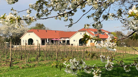 Nederlands Wijnbouwcentrum, Groesbeek