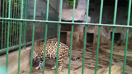 Zoológico Nacional De Nicaragua, 