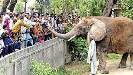 Lahore Zoo, Λαχώρη
