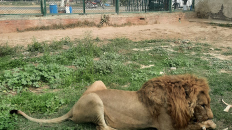 Lahore Wildlife Park, 