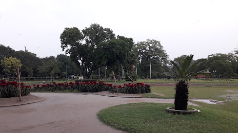 Jinnah Gardens, Φαϊζαλαμπάντ