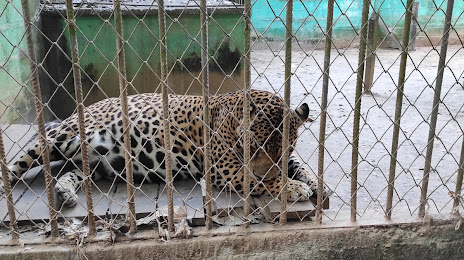 Zoologico El Jaguar, Puerto Maldonado