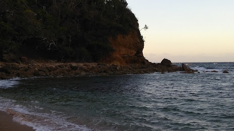 Playa Tocones, Dorado
