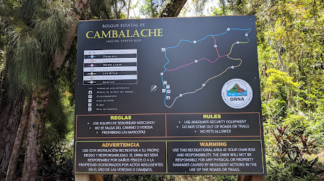 Bosque Estatal de Cambalache, Arecibo
