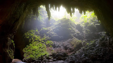 Cavernas del Rio Camuy National Park, 