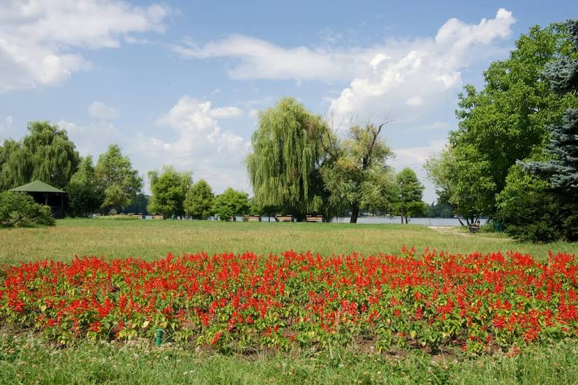 King Mihai I Park (Parcul Regele Mihai I), Bukarest