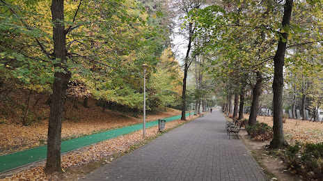 Parcul Municipal Regina Maria, Baia Mare