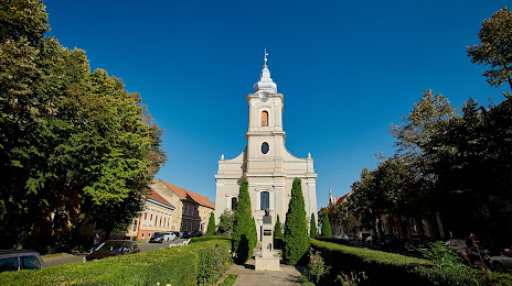 Biserica reformată cu lanțuri din Satu Mare, 
