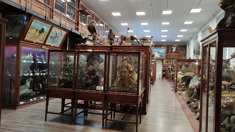 Zoological Museum (Muzeul Zoologic - UBB), Kaloşvar
