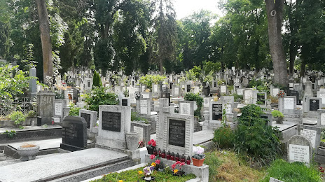 Central Cemetery (Cimitirul Central), Kaloşvar