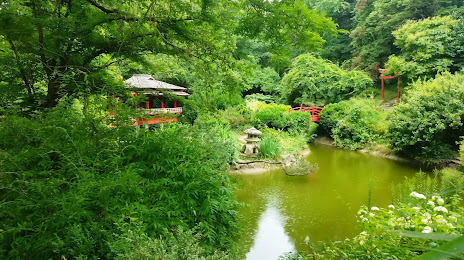 Grădina Japoneză, Kaloşvar