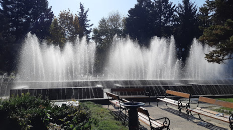 Mircea Cancicov City Park (Parcul Mircea Cancicov), Bákó