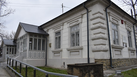 George Bacovia Memorial House, Bákó