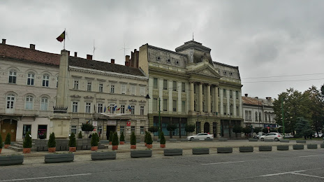 Palatul Neumann, Arad