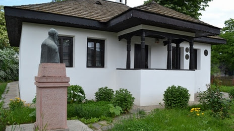 Casa Memorială Nicolae Iorga, Botosán