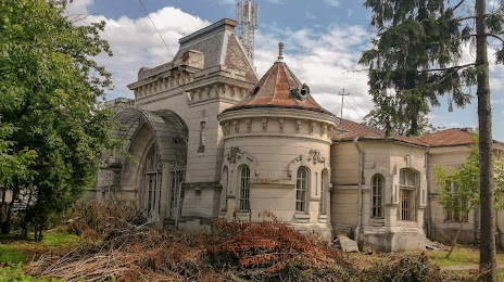 Casa Silion, Botoșani