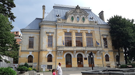 Muzeul Etnografic, Botoșani