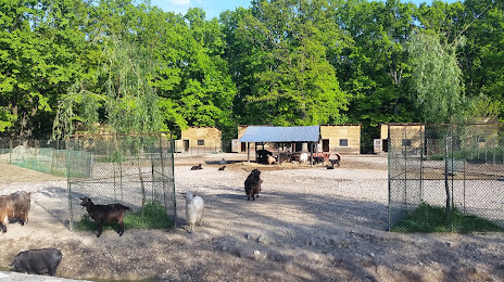 Zoo Pitesti, Pitești