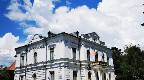 Muzeul de Artă din Târgoviște, Târgoviște