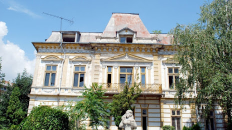 Casa Fântâneanu, Szlatina