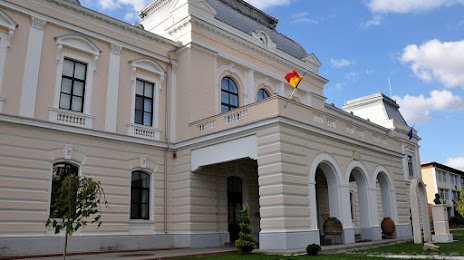 Vasile Parvan Museum Barlad, Barlád
