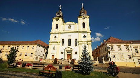 Greek-Catholic Cathedral of the Holy Trinity, Balázsfalva