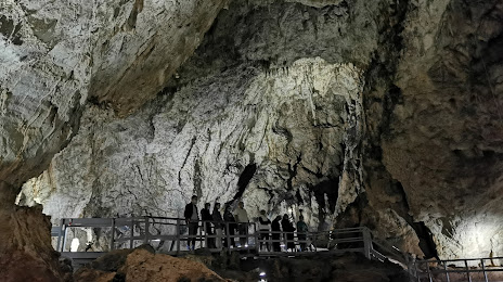 Valea Cetatii Cave, 