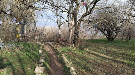 Natural Reserve Pădurea Babadag, Babadag