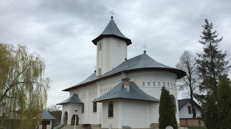 Manastirea Gorovei, Dorohoj
