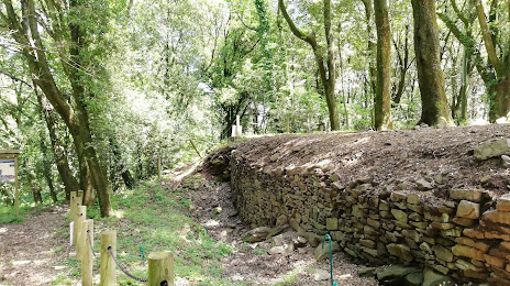 Area archeologica e naturalistica di Pietramarina, Montelupo Fiorentino