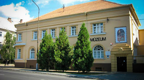 Múzeum Jána Thaina v Nových Zámkoch, Érsekújvár