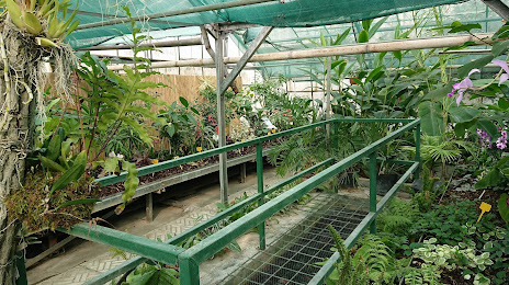 Botanical Garden SPU, 