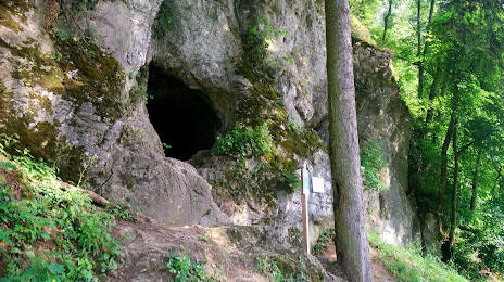 Jaskyňa nad cestou, 