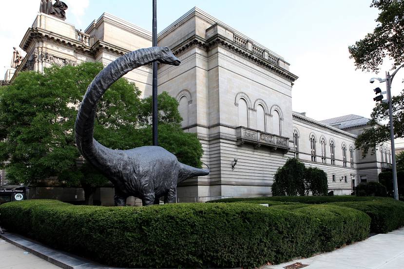 Carnegie Museum of Natural History, 