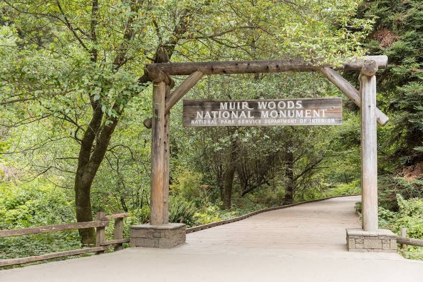 Muir Woods National Monument, San Francisco