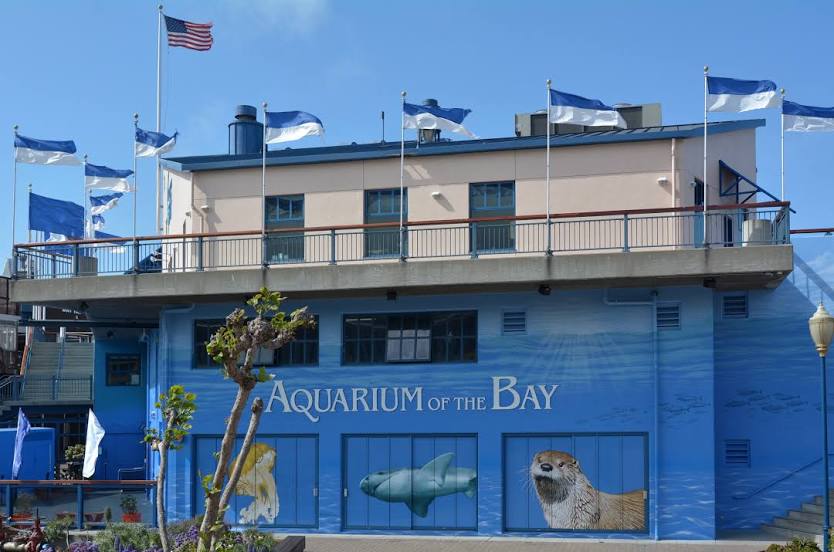 Aquarium of the Bay, San Francisco