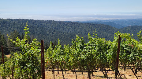 Loma Prieta Winery, San Jose