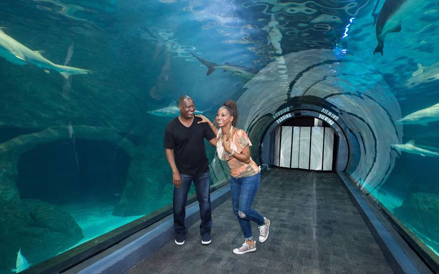 Adventure Aquarium, Philadelphia