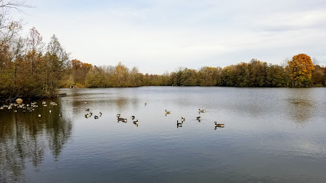 Schrock Lake, Westerville