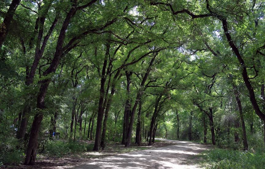 Mayfield Park and Nature Preserve, Austin
