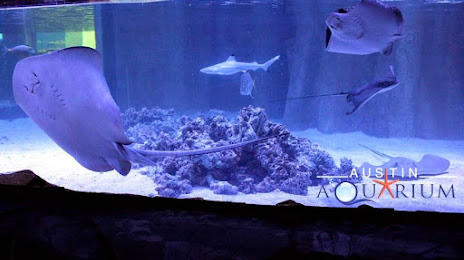 Austin Aquarium, 
