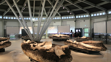 Museo Paleontologico Luigi Boldrini Pietrafitta, Magione