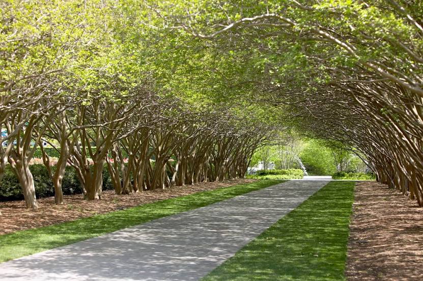 The Dallas Arboretum and Botanical Garden, 