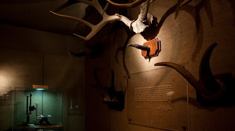 The Museum of Jurassic Technology, Лос-Анджелес